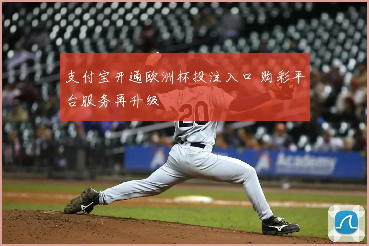 支付宝开通欧洲杯投注入口 购彩平台服务再升级