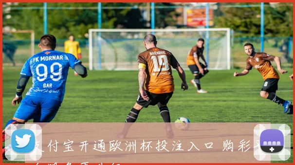 支付宝开通欧洲杯投注入口 购彩平台服务再升级