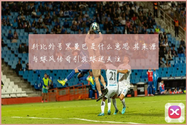 科比外号黑曼巴是什么意思 其来源与球风传奇引发球迷关注